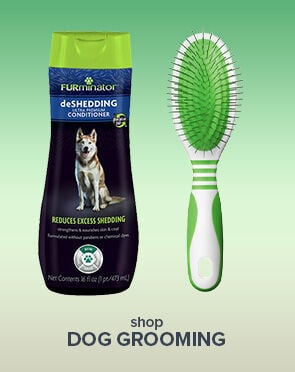 Dog Grooming
